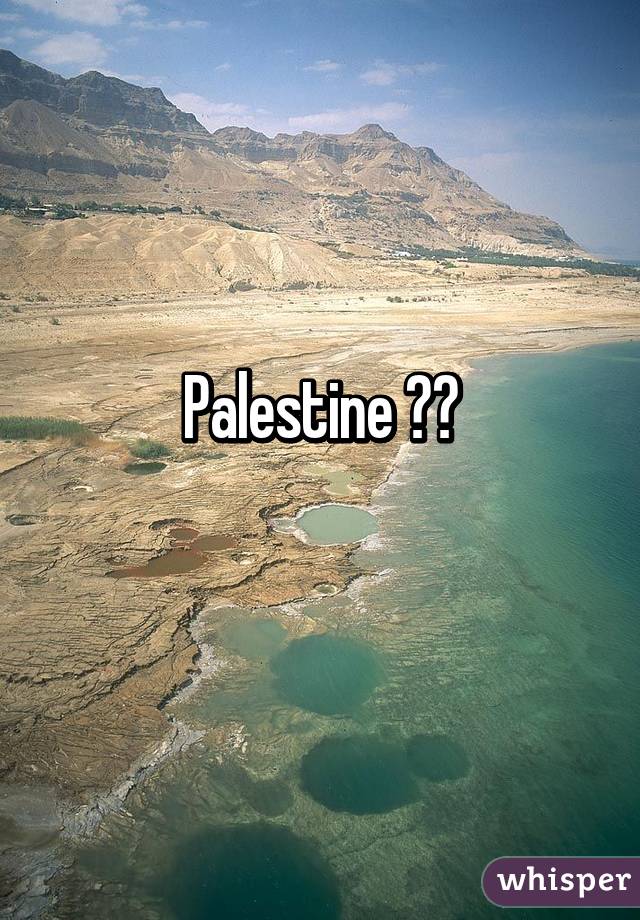 Palestine ❤️
