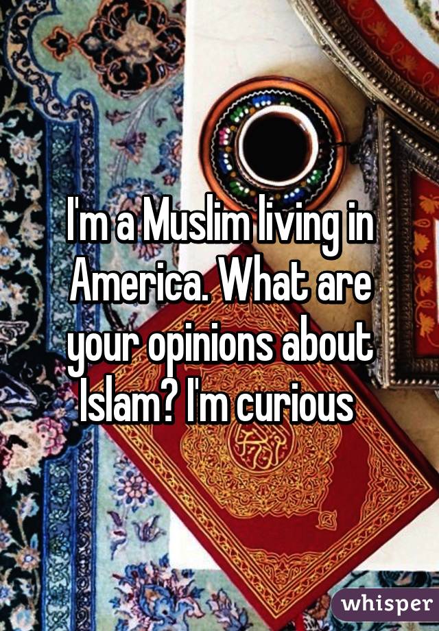 I'm a Muslim living in America. What are your opinions about Islam? I'm curious 