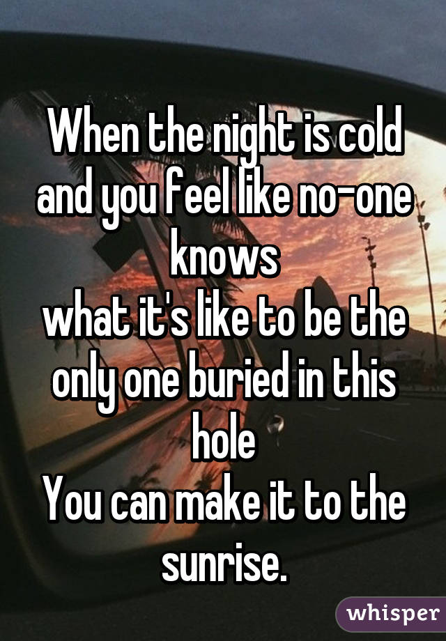 
When the night is cold and you feel like no-one knows
what it's like to be the only one buried in this hole
You can make it to the sunrise.