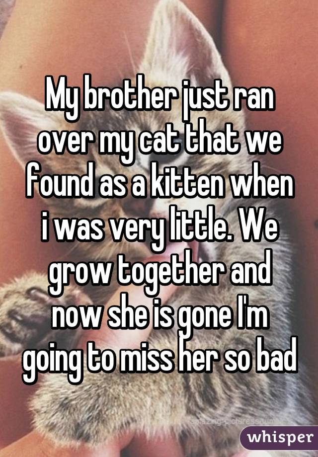 My brother just ran over my cat that we found as a kitten when i was very little. We grow together and now she is gone I'm going to miss her so bad
