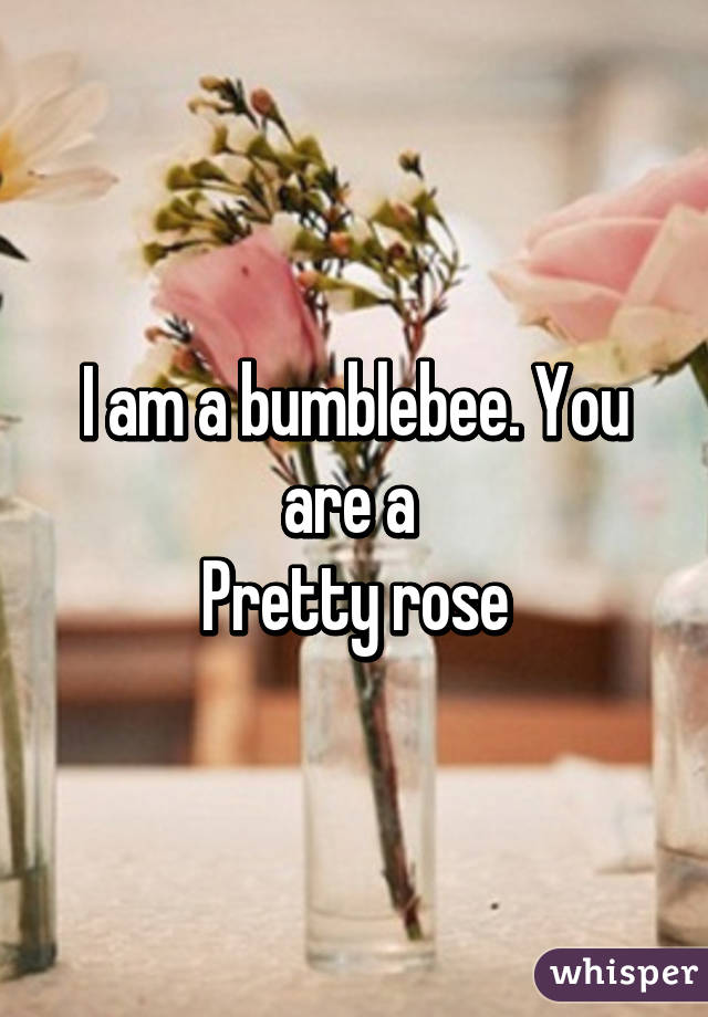 I am a bumblebee. You are a 
Pretty rose