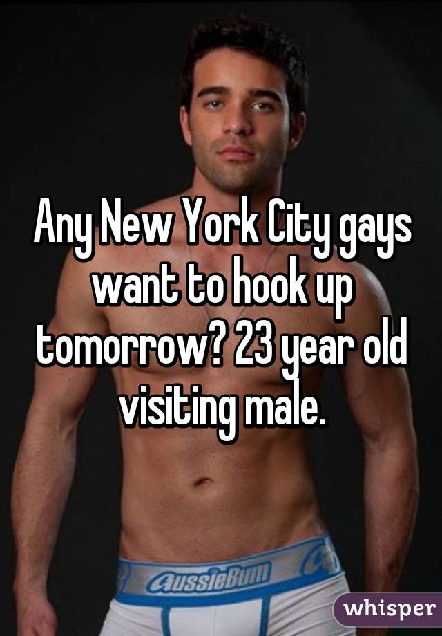 Any New York City gays want to hook up tomorrow? 23 year old visiting male.