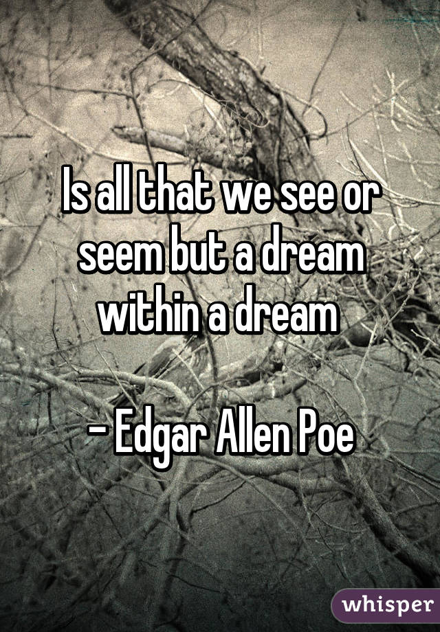 Is all that we see or seem but a dream within a dream 

- Edgar Allen Poe