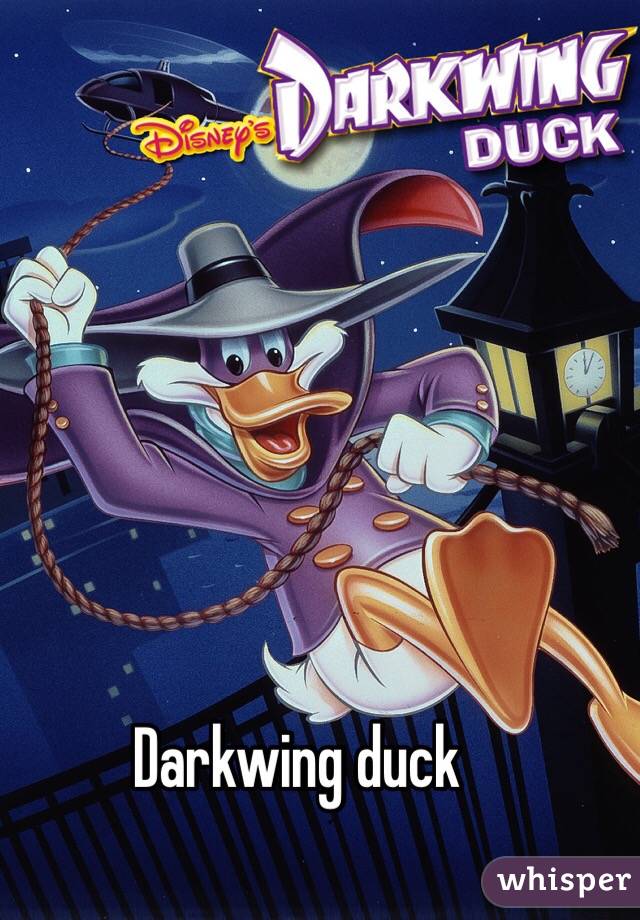 Darkwing duck