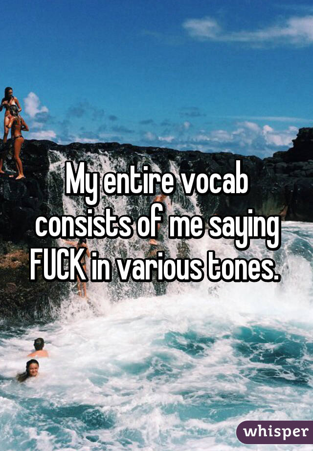 My entire vocab consists of me saying FUCK in various tones. 