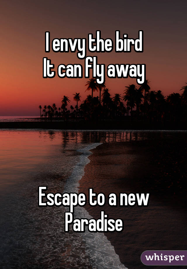 I envy the bird
It can fly away




Escape to a new
Paradise
