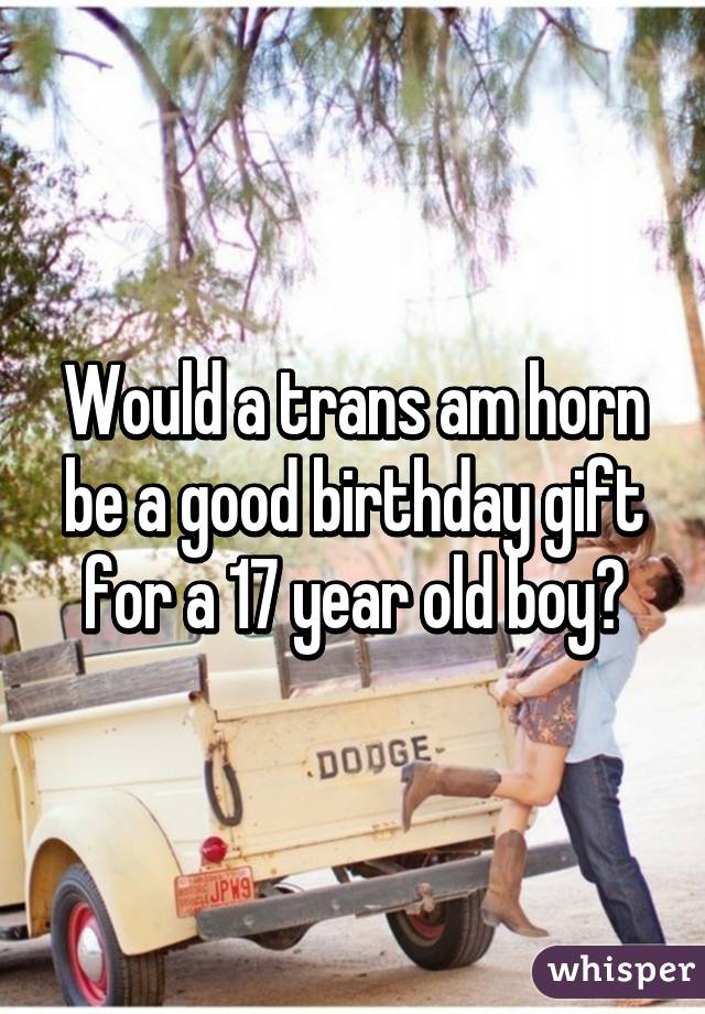 Would a trans am horn be a good birthday gift for a 17 year old boy?