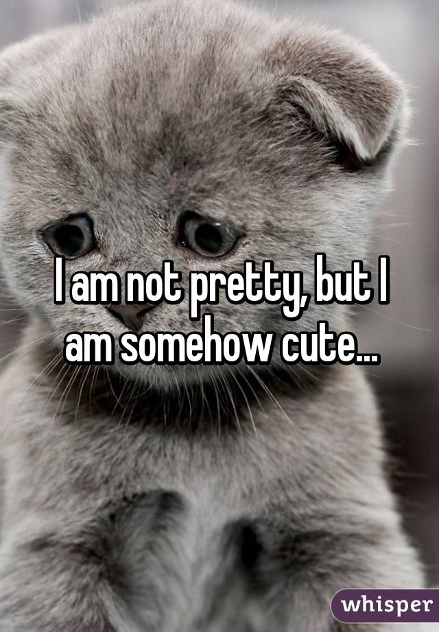 I am not pretty, but I am somehow cute...