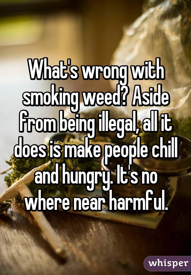 What's wrong with smoking weed? Aside from being illegal, all it does is make people chill and hungry. It's no where near harmful.