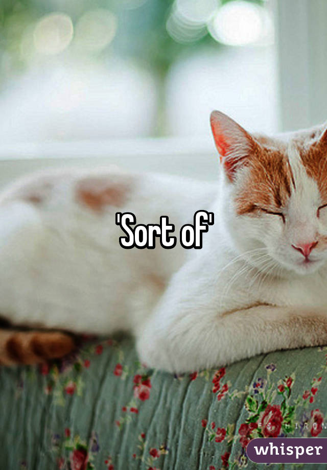 'Sort of'