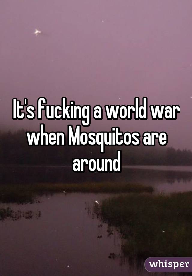 It's fucking a world war when Mosquitos are around