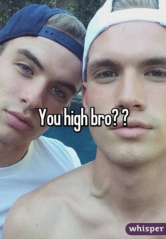 You high bro? 😂
