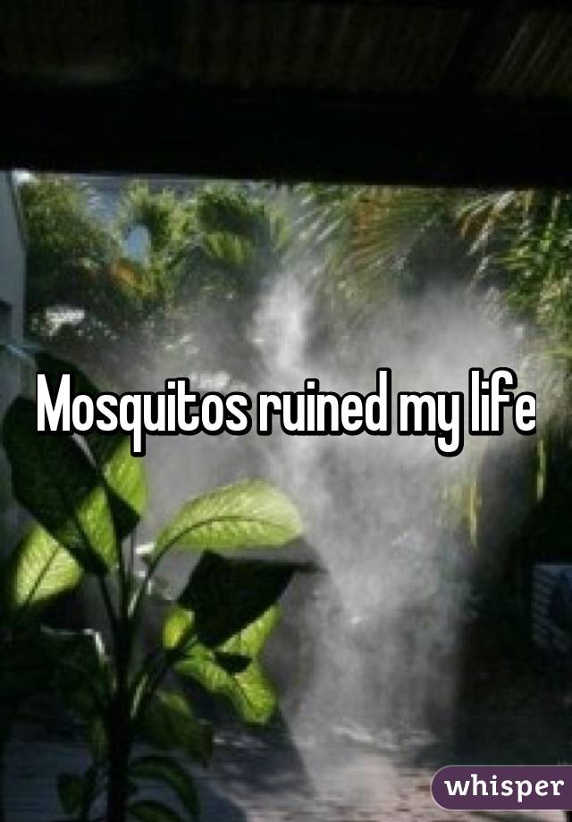 Mosquitos ruined my life