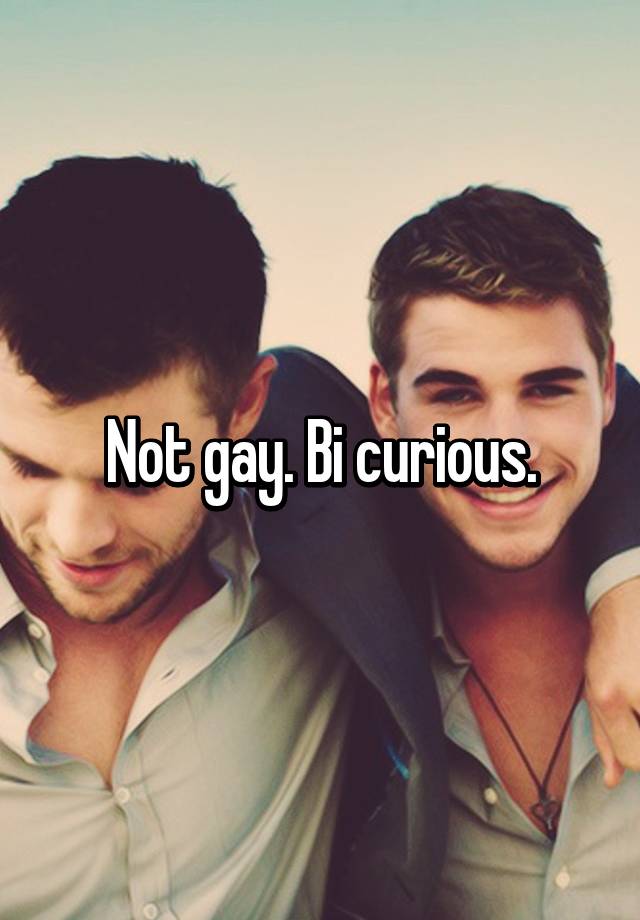 Not Gay Bi Curious