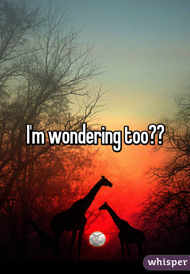 I'm wondering too??