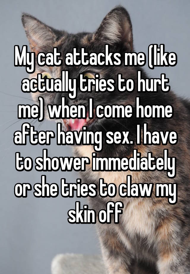 Why does my cat attack me for no reason?