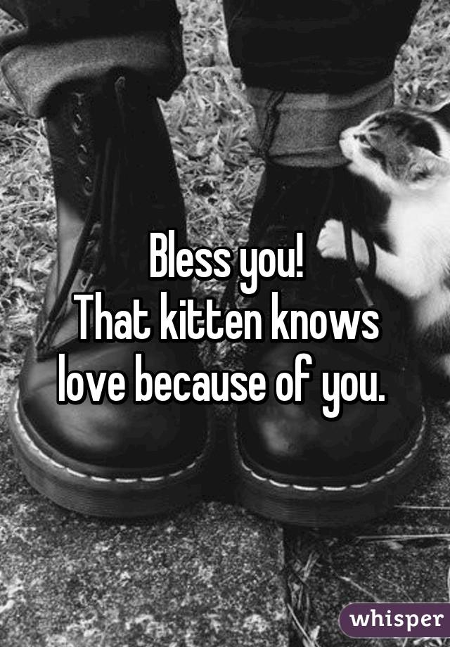 Bless you!
That kitten knows love because of you. 