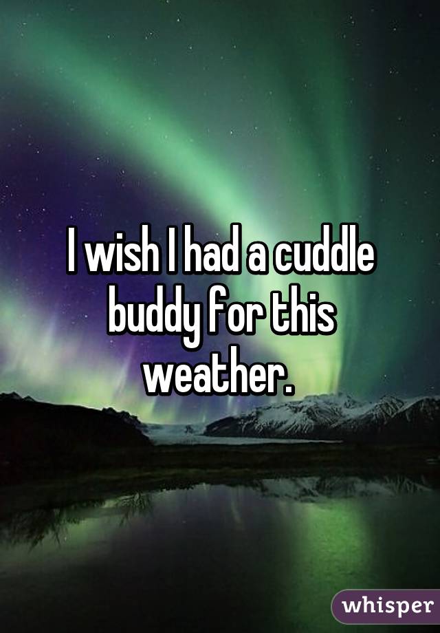 I wish I had a cuddle buddy for this weather. 