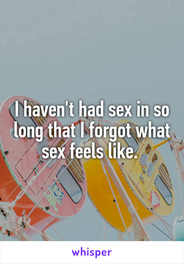 I haven't had sex in so long that I forgot what sex feels like. 