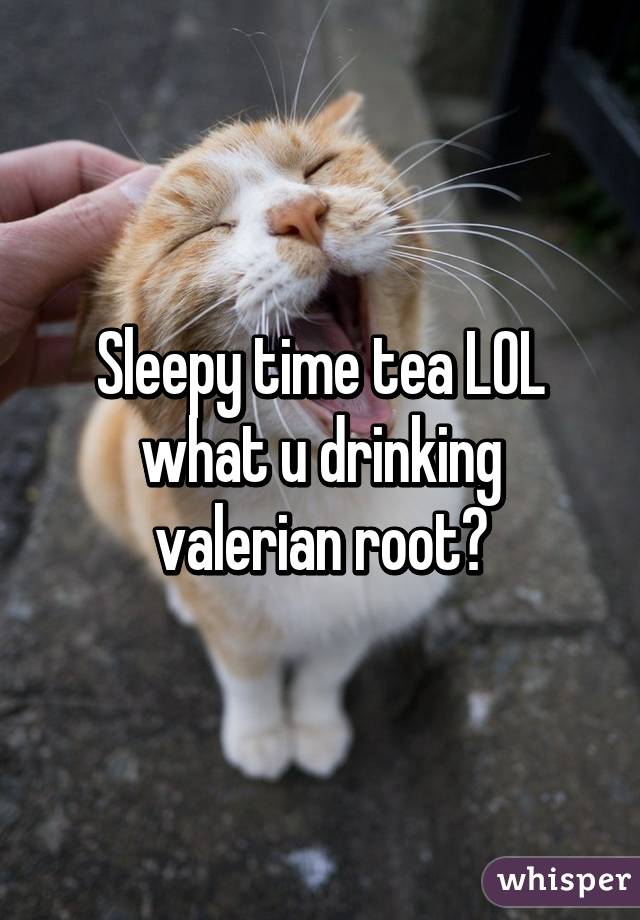 Sleepy time tea LOL what u drinking valerian root?