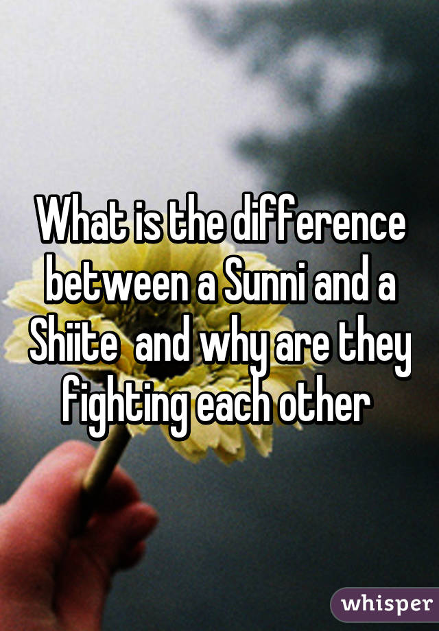 What is the difference between a Sunni and a Shiite  and why are they fighting each other 