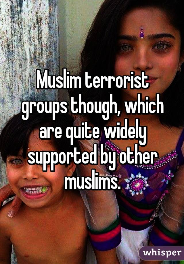 Muslim terrorist groups though, which are quite widely supported by other muslims.