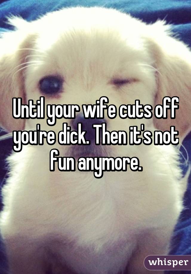 Until your wife cuts off you're dick. Then it's not fun anymore.