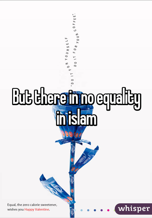 But there in no equality in islam