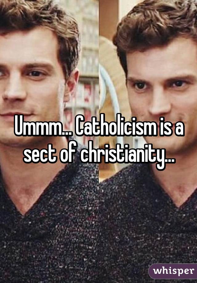 Ummm... Catholicism is a sect of christianity...