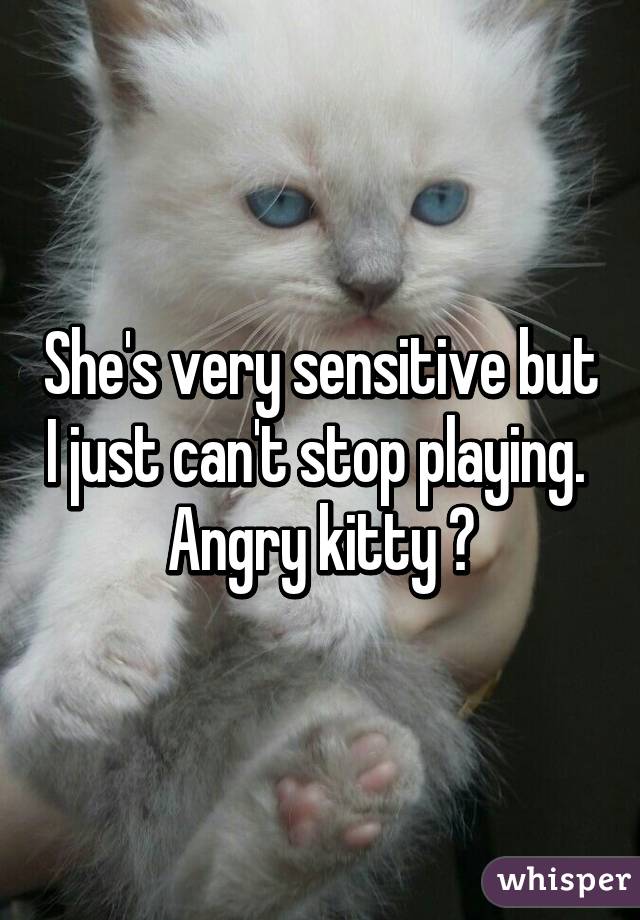 She's very sensitive but I just can't stop playing.  Angry kitty 😾