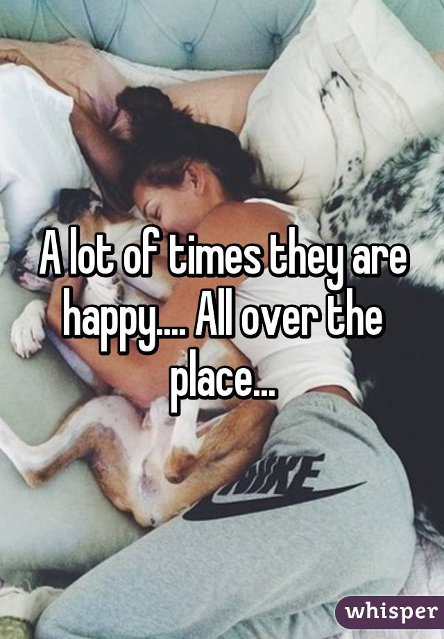 A lot of times they are happy.... All over the place...