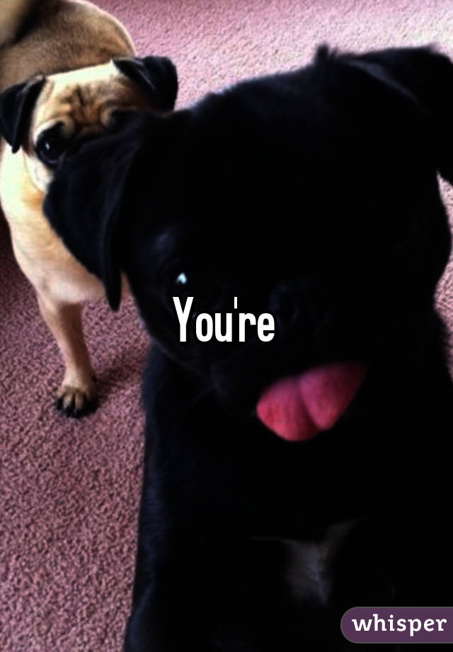 You're 