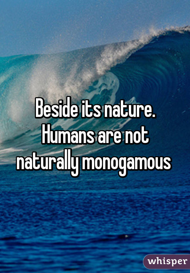 Beside its nature. Humans are not naturally monogamous 