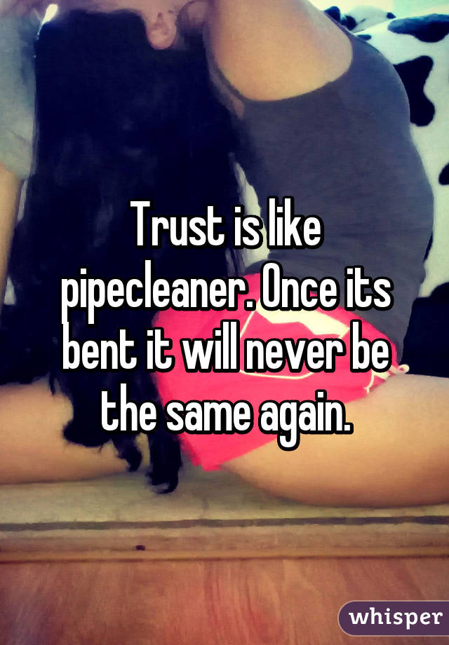 Trust is like pipecleaner. Once its bent it will never be the same again.