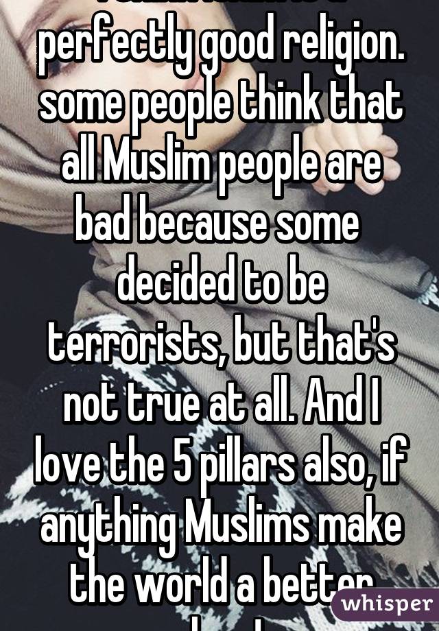 I think Islam is a perfectly good religion. some people think that all Muslim people are bad because some  decided to be terrorists, but that's not true at all. And I love the 5 pillars also, if anything Muslims make the world a better place! 