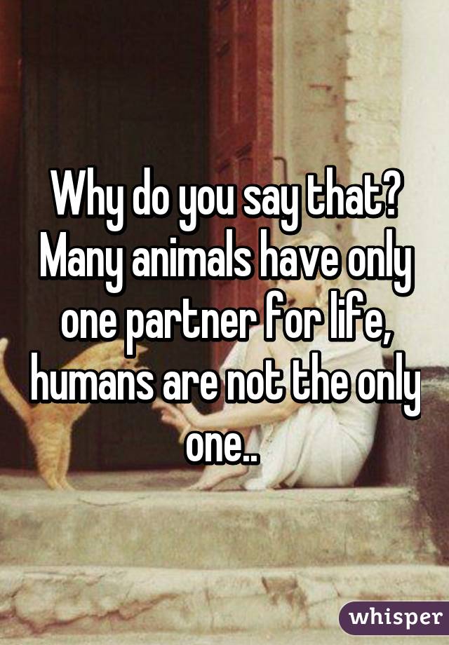 Why do you say that? Many animals have only one partner for life, humans are not the only one.. 