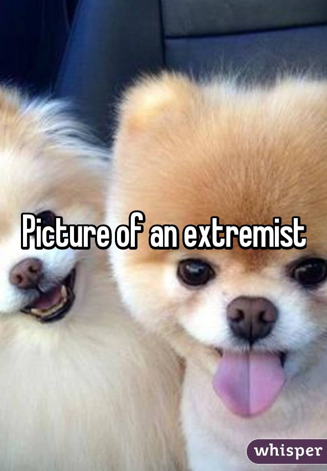 Picture of an extremist