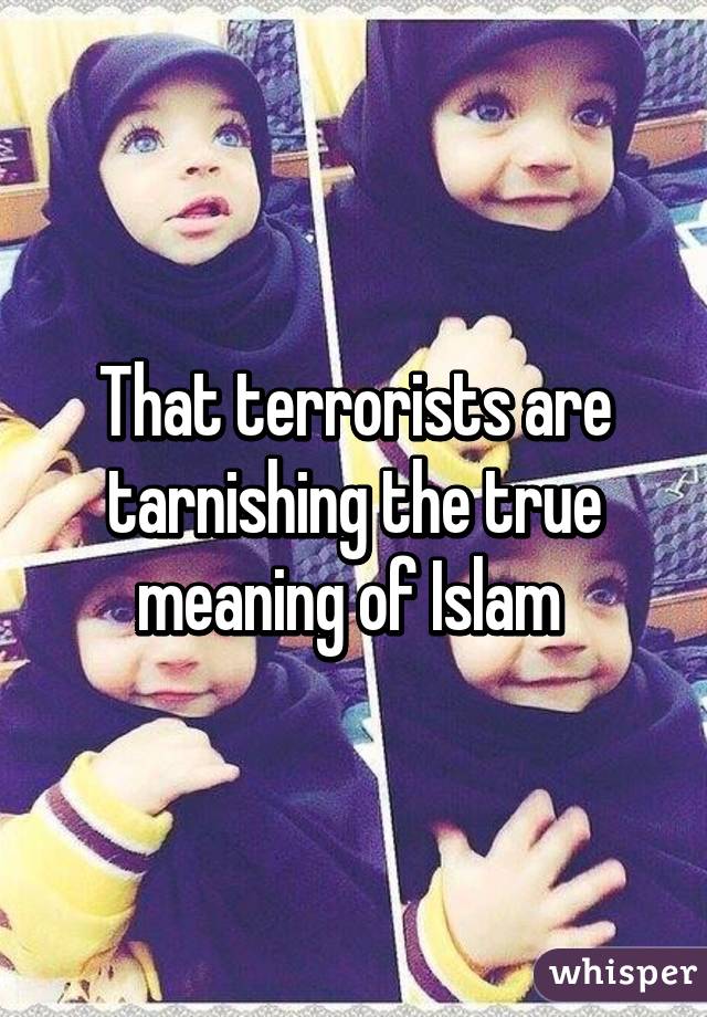 That terrorists are tarnishing the true meaning of Islam 