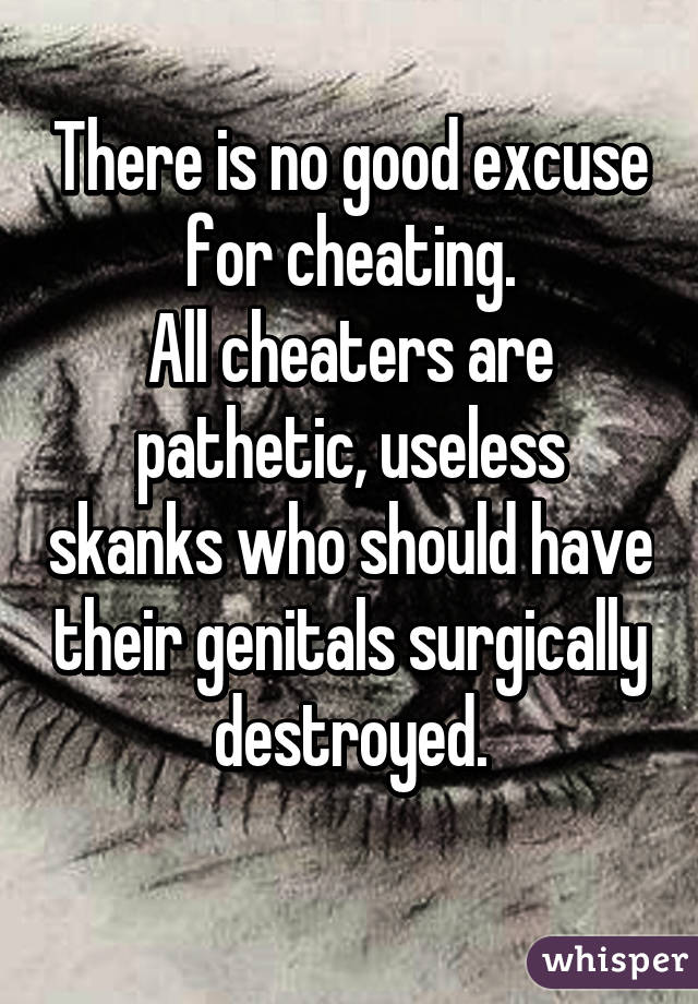 There is no good excuse for cheating.
All cheaters are pathetic, useless skanks who should have their genitals surgically destroyed.
