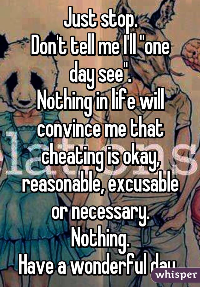 Just stop.
Don't tell me I'll "one day see".
Nothing in life will convince me that cheating is okay, reasonable, excusable or necessary.
Nothing.
Have a wonderful day. 