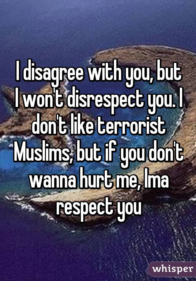 I disagree with you, but I won't disrespect you. I don't like terrorist Muslims, but if you don't wanna hurt me, Ima respect you