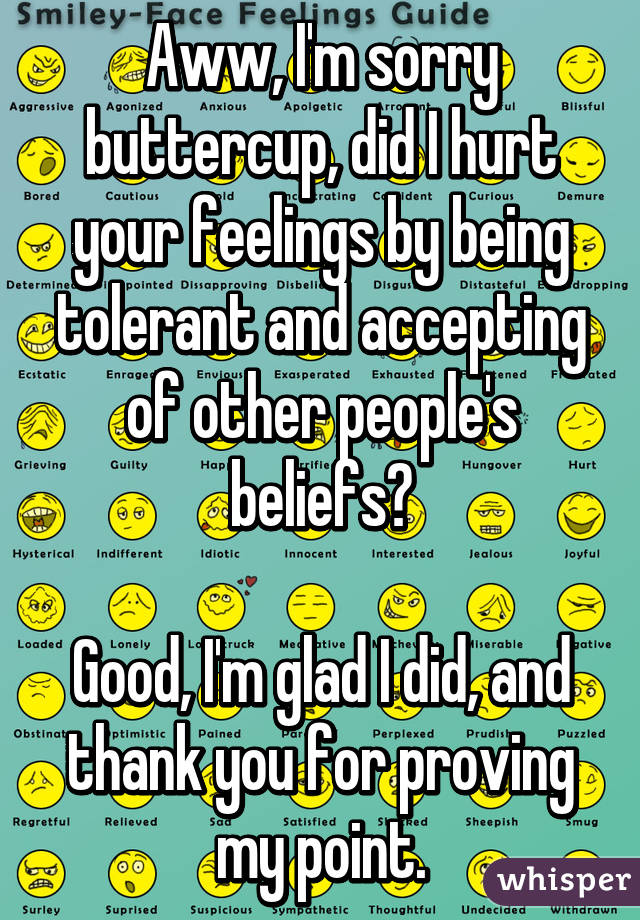 Aww, I'm sorry buttercup, did I hurt your feelings by being tolerant and accepting of other people's beliefs?

Good, I'm glad I did, and thank you for proving my point.