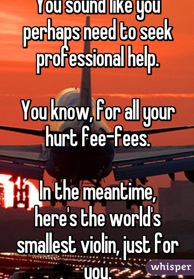 You sound like you perhaps need to seek professional help.

You know, for all your hurt fee-fees.

In the meantime, here's the world's smallest violin, just for you.