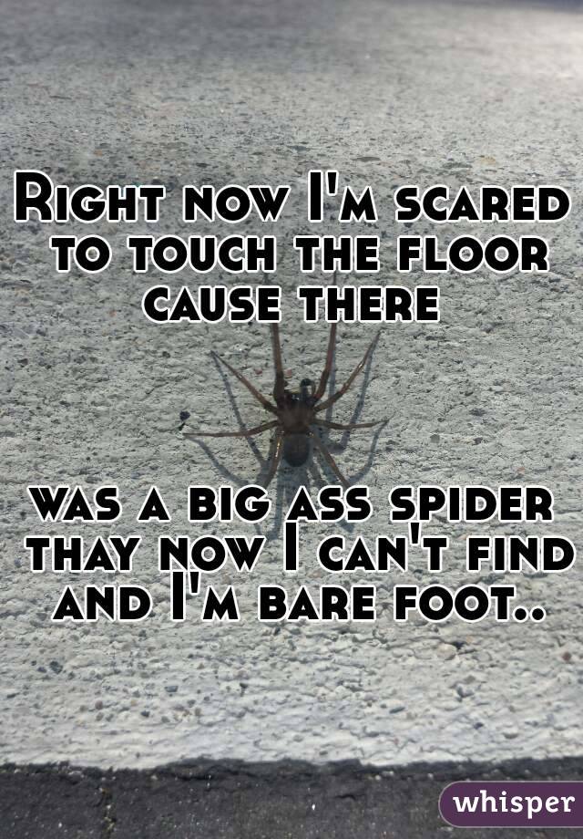 Right now I'm scared to touch the floor cause there 



was a big ass spider thay now I can't find and I'm bare foot..