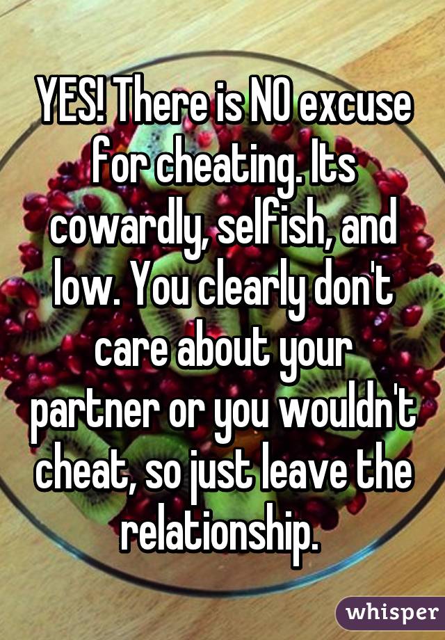 YES! There is NO excuse for cheating. Its cowardly, selfish, and low. You clearly don't care about your partner or you wouldn't cheat, so just leave the relationship. 