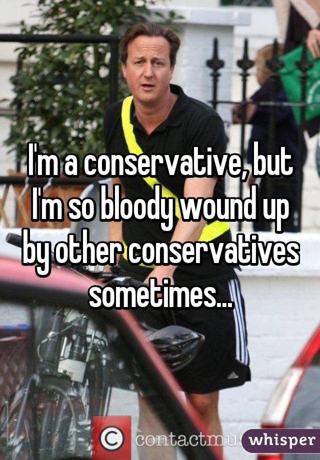 I'm a conservative, but I'm so bloody wound up by other conservatives sometimes...