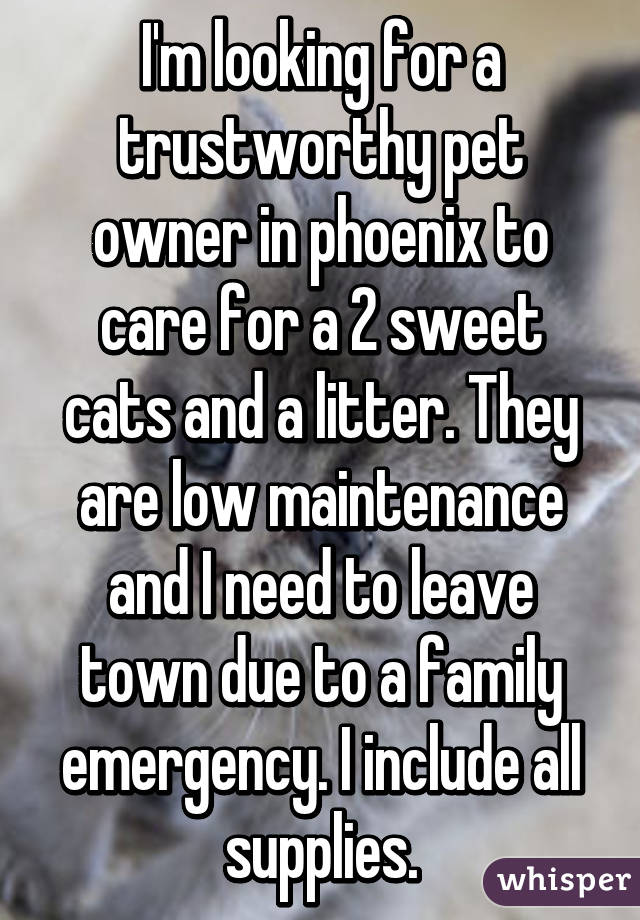 I'm looking for a trustworthy pet owner in phoenix to care for a 2 sweet cats and a litter. They are low maintenance and I need to leave town due to a family emergency. I include all supplies.