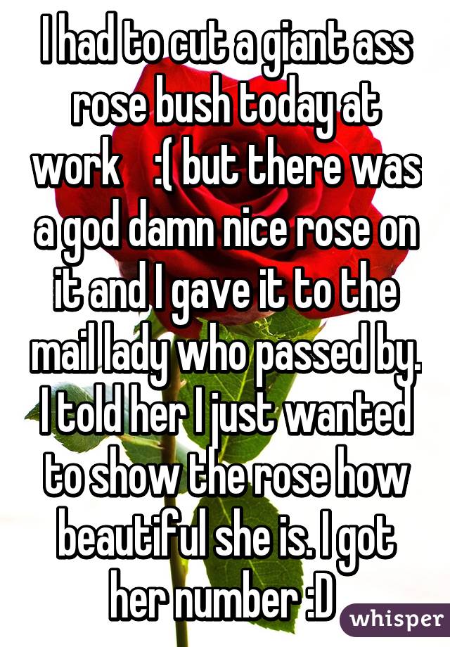 I had to cut a giant ass rose bush today at work    :( but there was a god damn nice rose on it and I gave it to the mail lady who passed by. I told her I just wanted to show the rose how beautiful she is. I got her number :D 