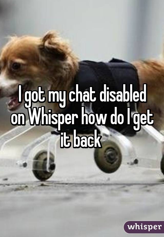 I got my chat disabled on Whisper how do I get it back 