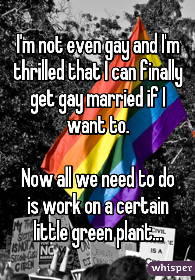 I'm not even gay and I'm thrilled that I can finally get gay married if I want to.

Now all we need to do is work on a certain little green plant...